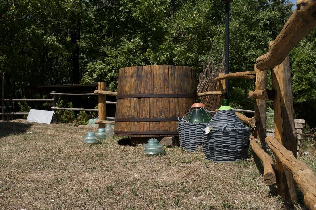 B&B La Timpa Del Cucco Roccagloriosa Εξωτερικό φωτογραφία